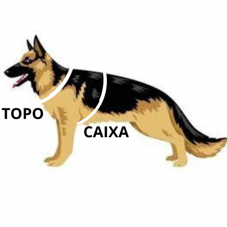 12589