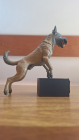 MINIATURA MALINOIS